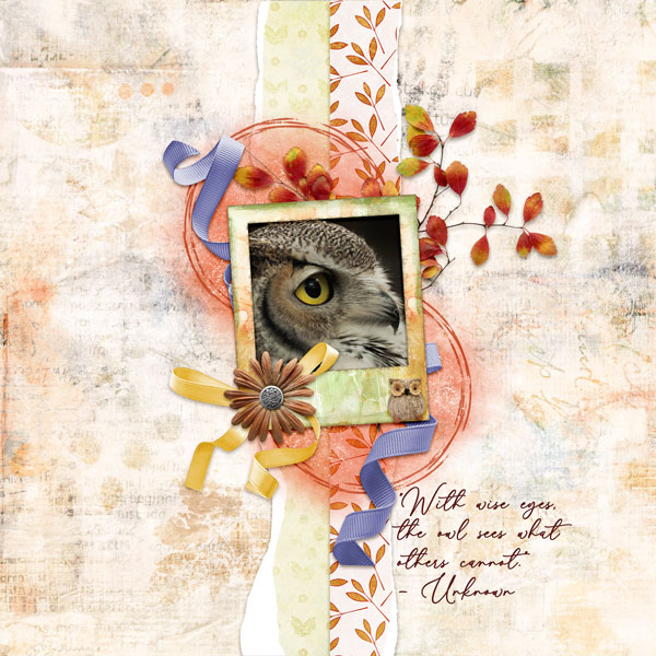 Eye of the Owl