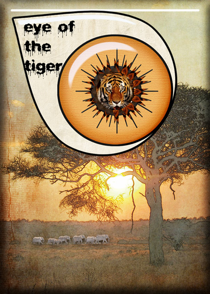 eye of the tiger