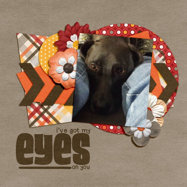 Eyes