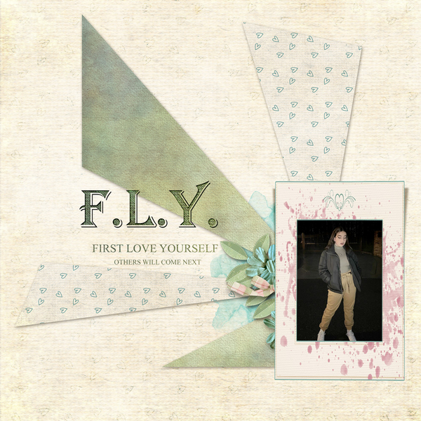 F. L. Y.