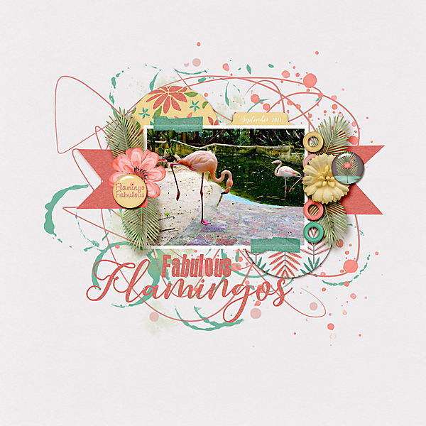 Fabulous Flamingo