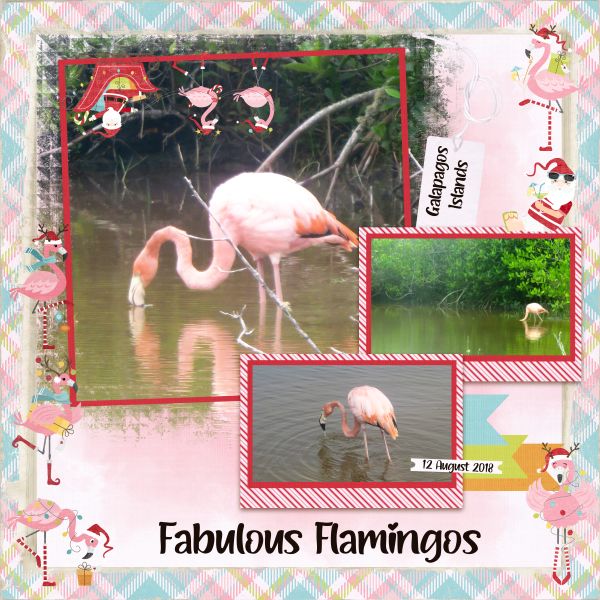 Fabulous Flamingos