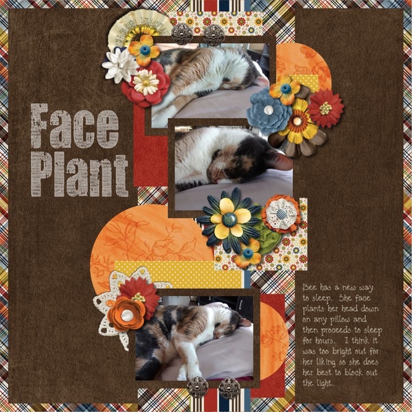 Face Plant