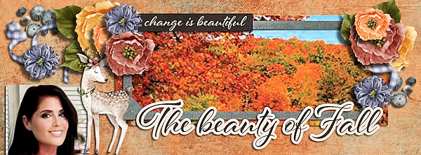 Facebook cover photo