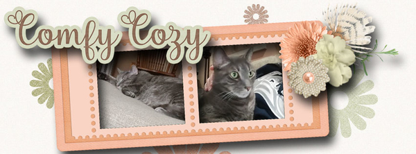 Facebook Header Challange-I followed the directions and used parts of the D