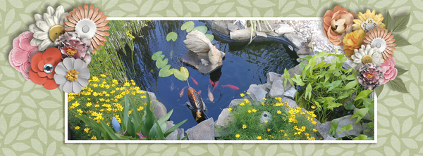 Facebook Header Challenge July 2020