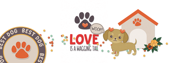 Facebook Header