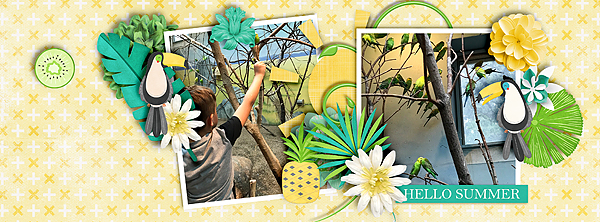 Facebook Header