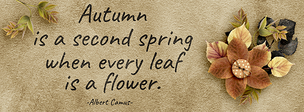 FacebookHeader - Autumn