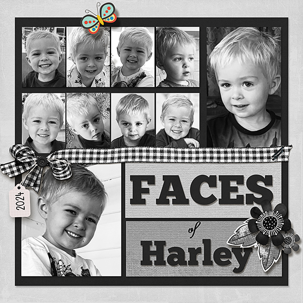 Faces of Harley