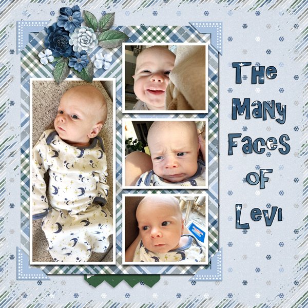 Faces of Levi