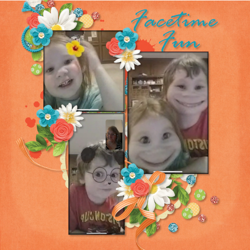 FaceTime Fun