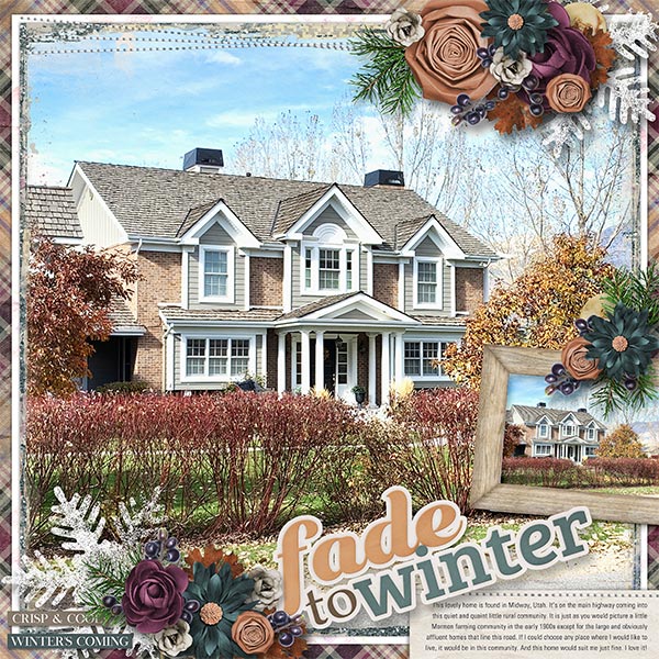 FADE TO WINTER