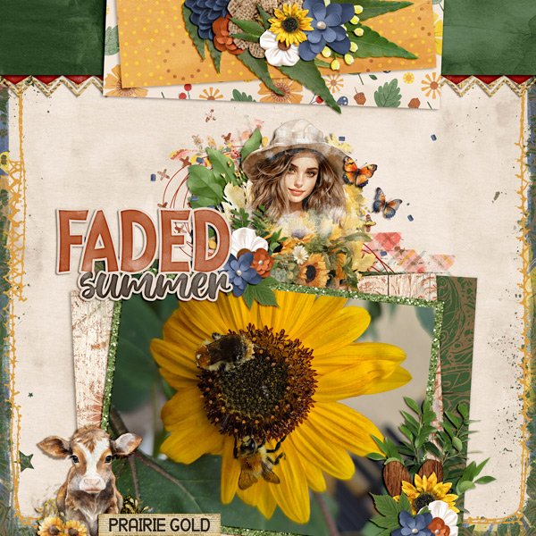 faded summer