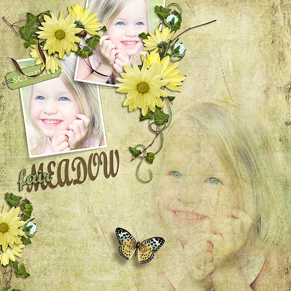 Fair Meadow