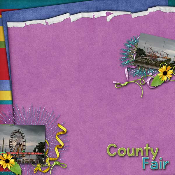 fair1