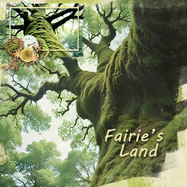 Fairies Land