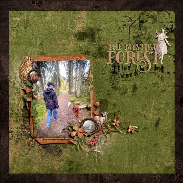 Fairy Forest