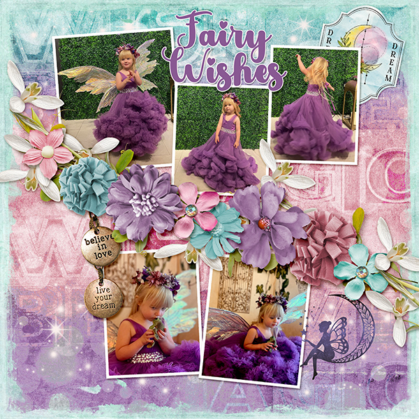 Fairy Wishes