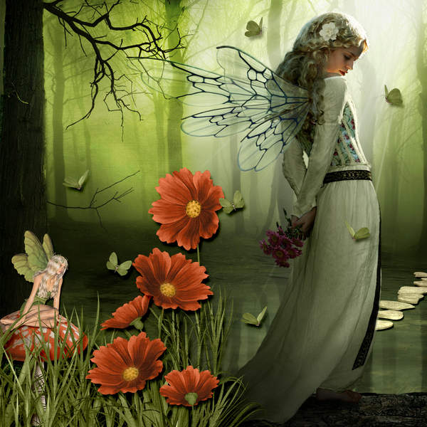 Fairy