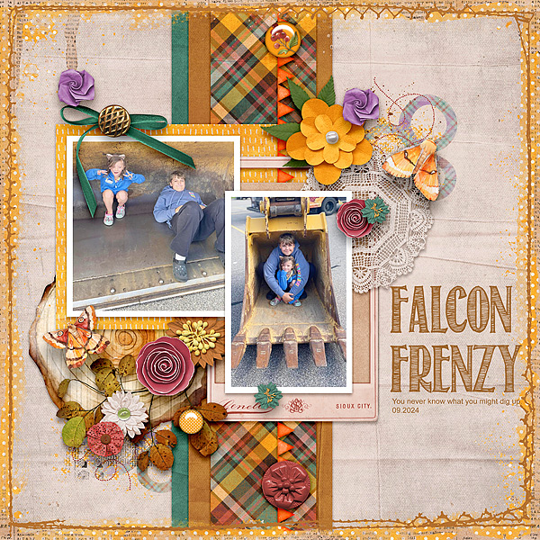 Falcon Frenzy 202