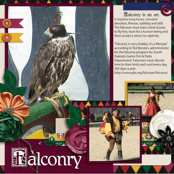 Falconry