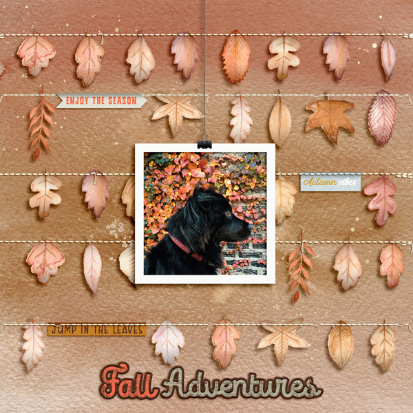 fall adventures