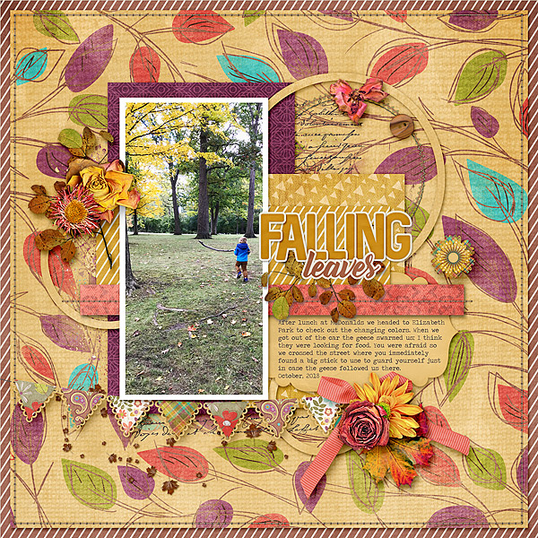 Fall at Elizabeth Park