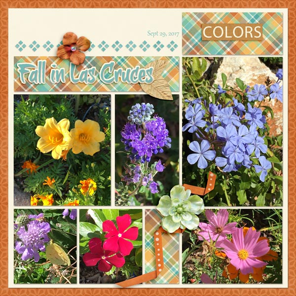 Fall at Home1