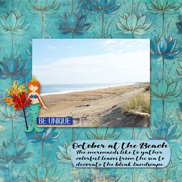 Fall at the Beach