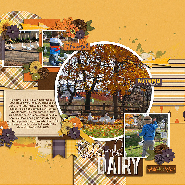 Fall at the Dairy