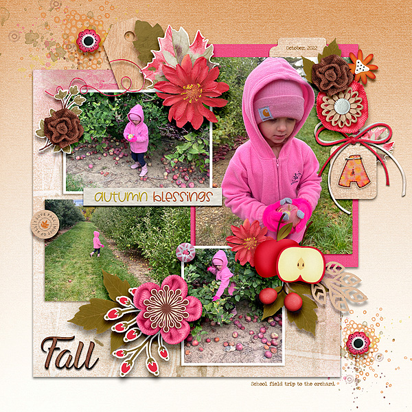 Fall at the Orchard 2022