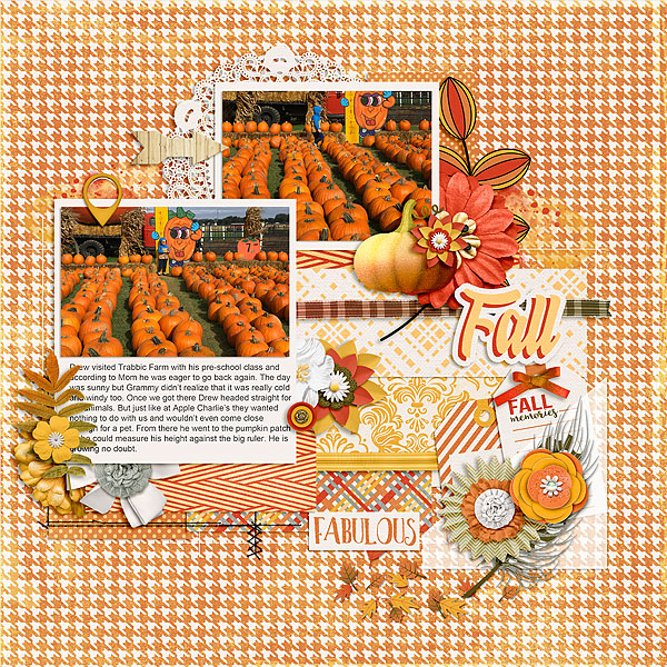 Fall at the Patch