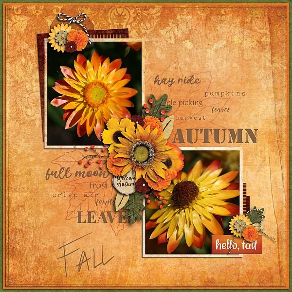 Fall Autumn Leaves