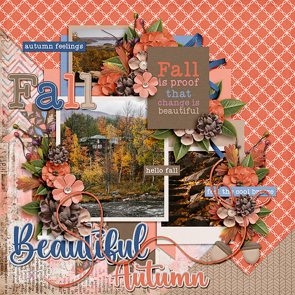Fall, Beautiful Autumn