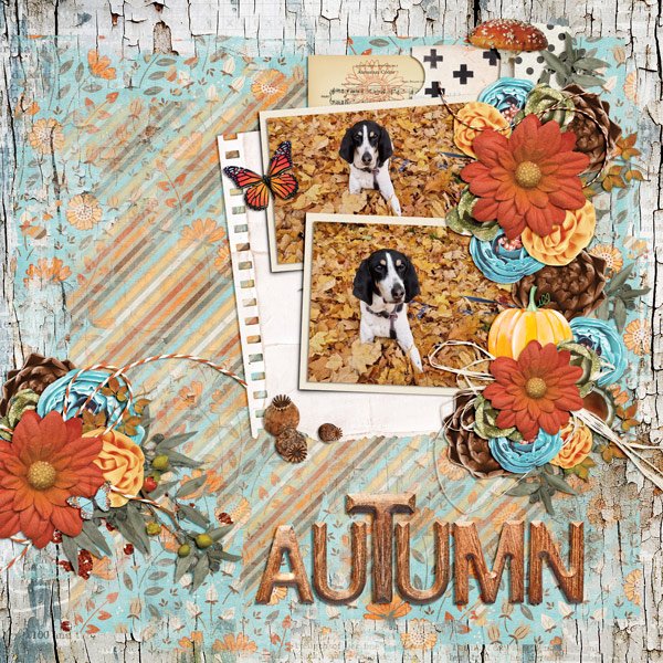 Fall Beauty 2024
