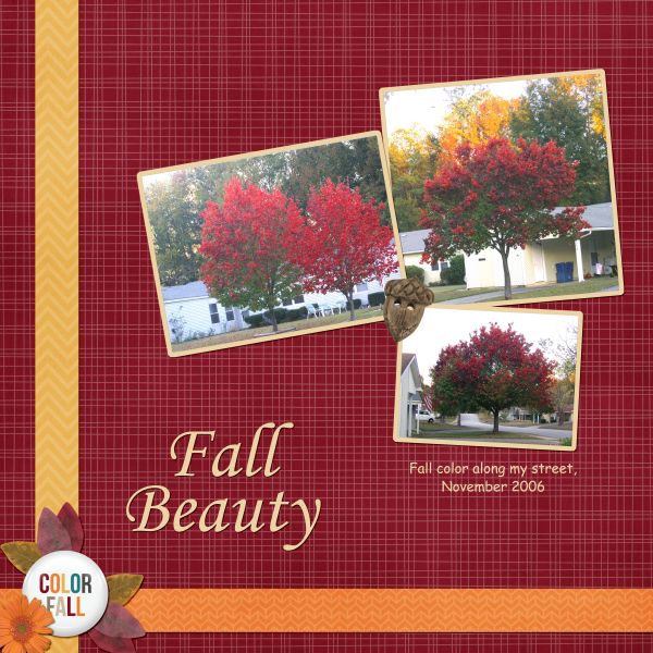 Fall Beauty