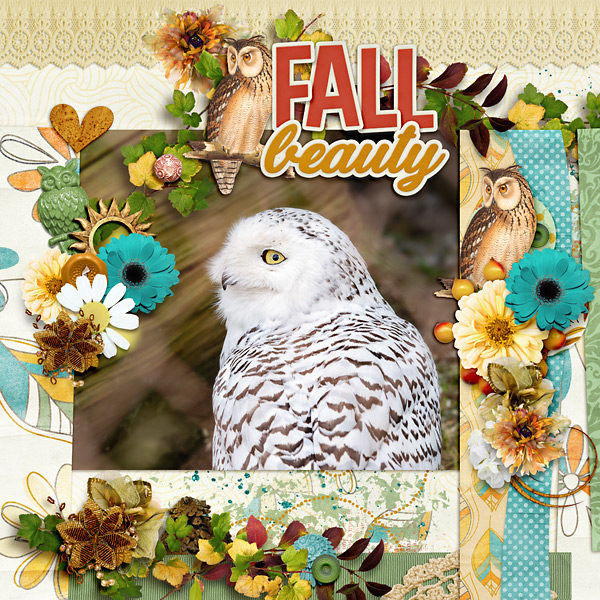 Fall Beauty