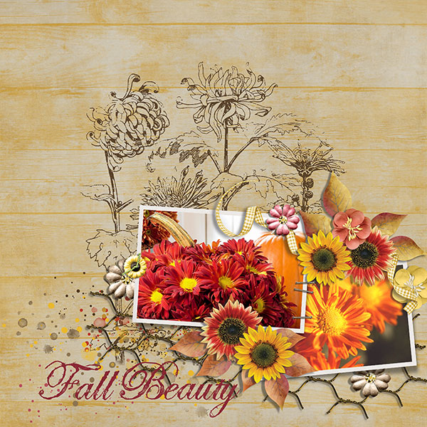 fall beauty