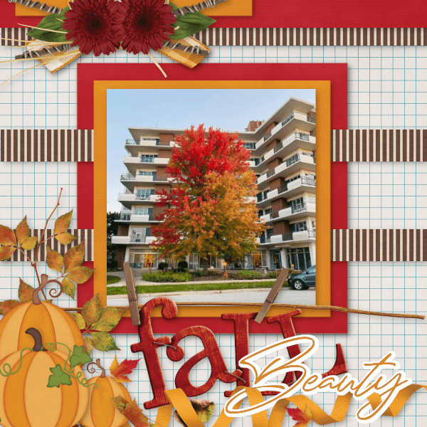 Fall Beauty