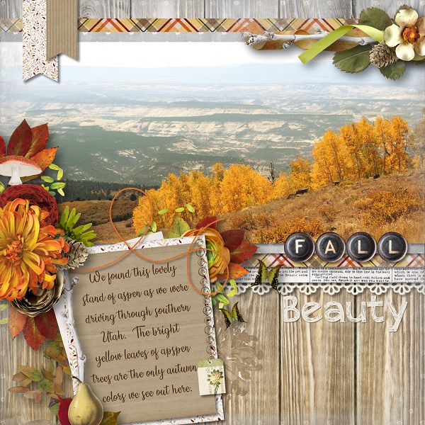 Fall Beauty