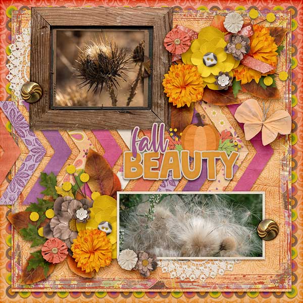 Fall Beauty