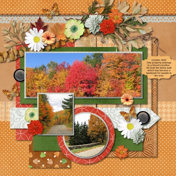 Fall Beauty