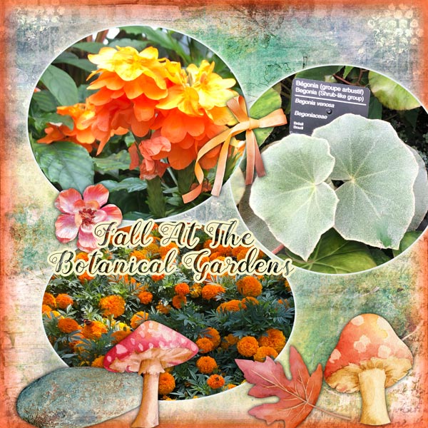 Fall Botanical Gardens