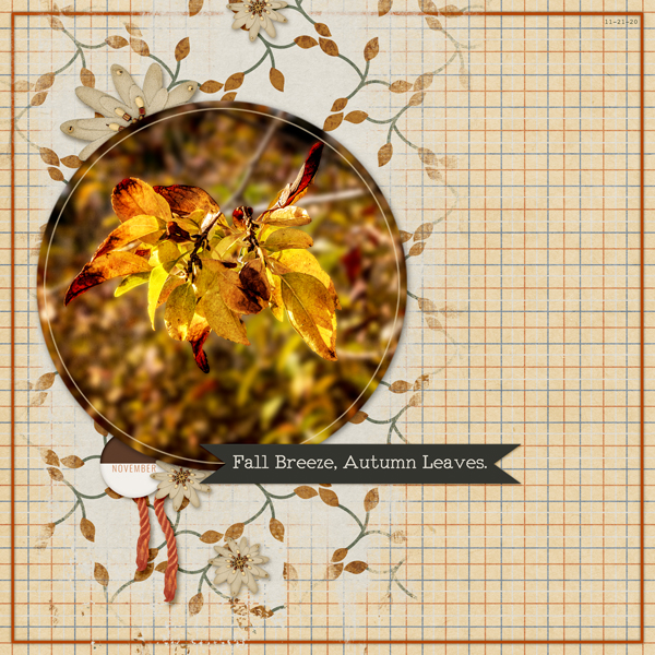 Fall Breeze, Autumn Leaves