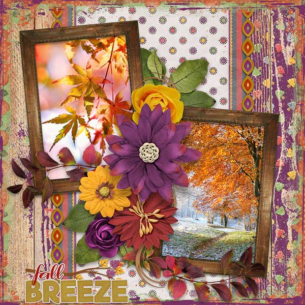 Fall Breeze