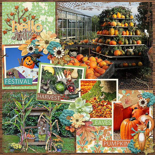 Fall Bucket List