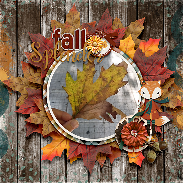 Fall Bucket List