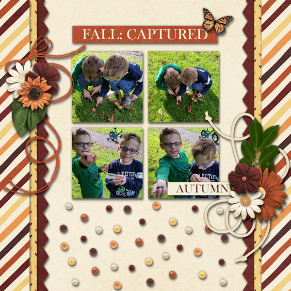 Fall Captured