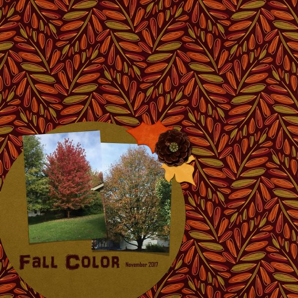 Fall Color